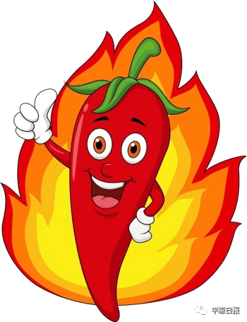 我们这十年丨小辣椒种出红日子灵台县积极培育发展朝天椒产业