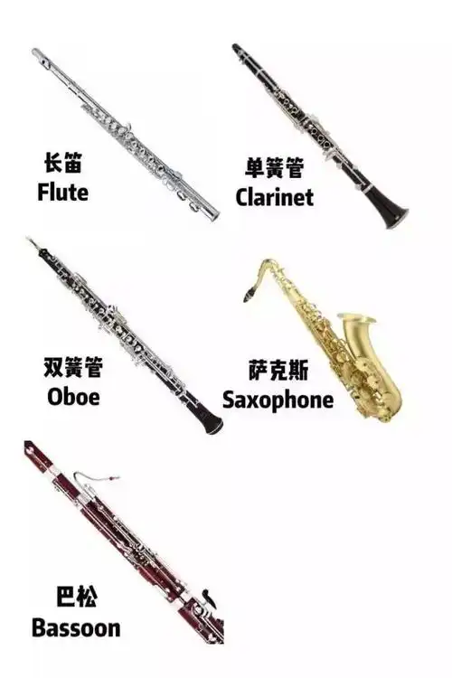 交响管乐团乐器班|招生推荐活动邀请函请您查收