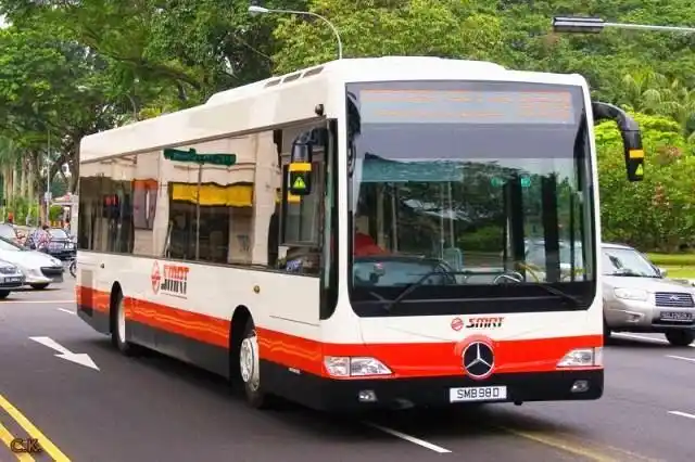 人口密度是北京的近6倍,新加坡为啥不堵车?_懂车帝