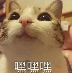 嘿嘿嘿表情包可爱gif