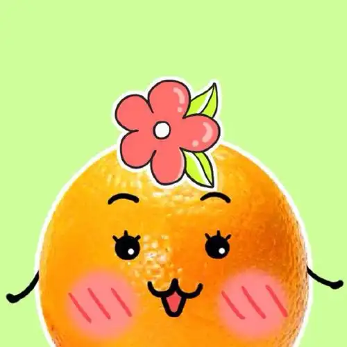 橙子小头像