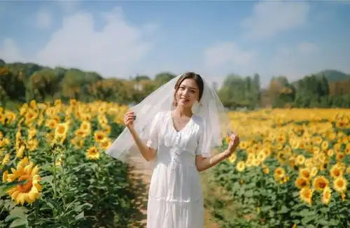 向日葵这样拍太美了,快收藏学起来!