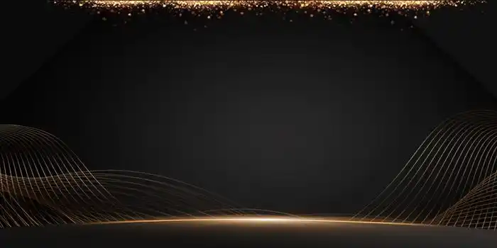 大气黑金商务线条极简商务背景