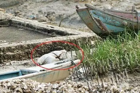 出租屋藏尸传出臭味被邻居闻到凶手称是肉蟹长蛆忘了扔了