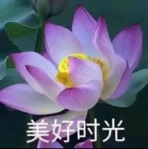 土俗头像