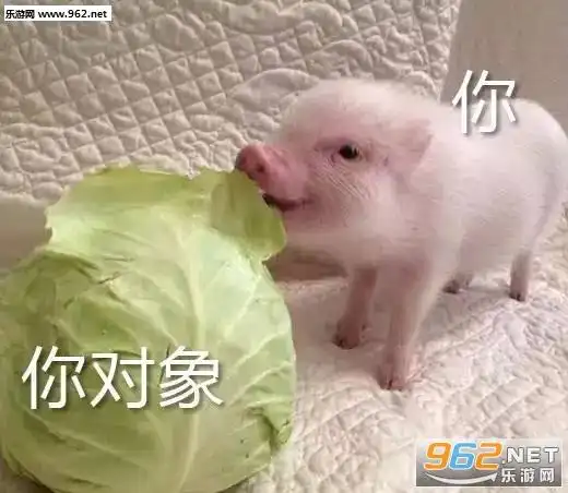 好白菜都让猪拱了表情图片合集-emmm吸猪表情包下载-乐游网游戏下载