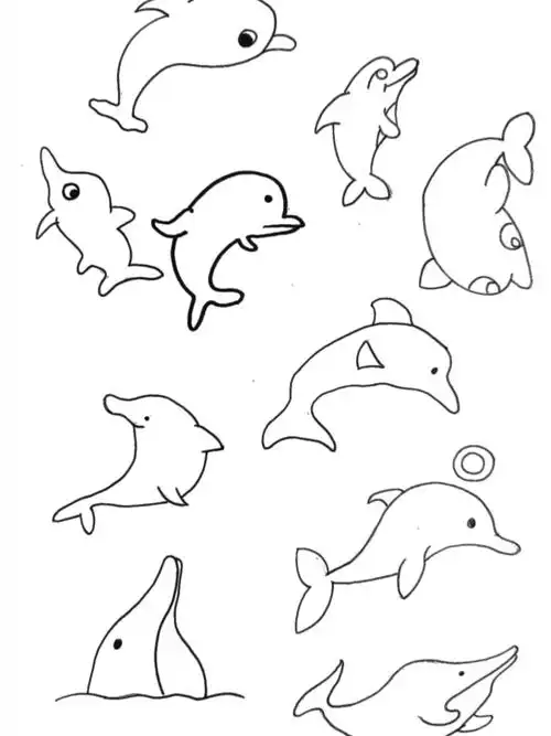 黑白简笔画海豚