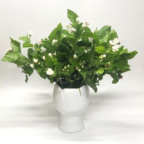 不仁斋薛继业陶瓷釉下点彩茉莉花瓣花瓶花插