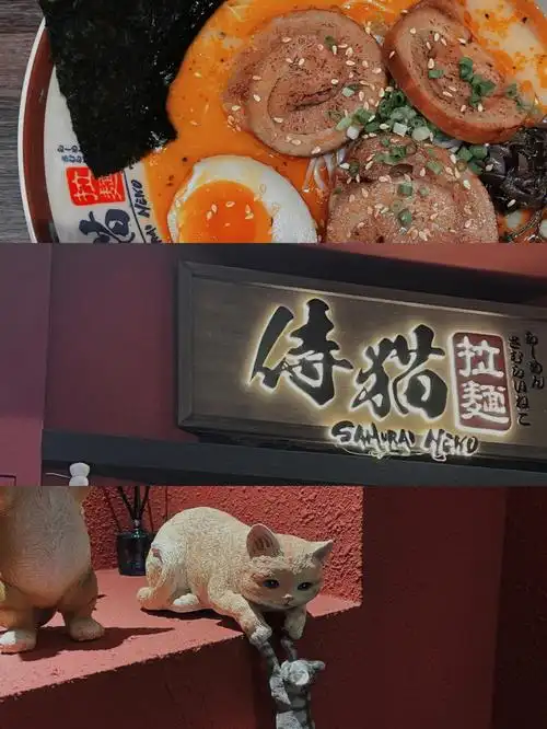 顺德大良夜里打工人聚集的猫咪拉面馆