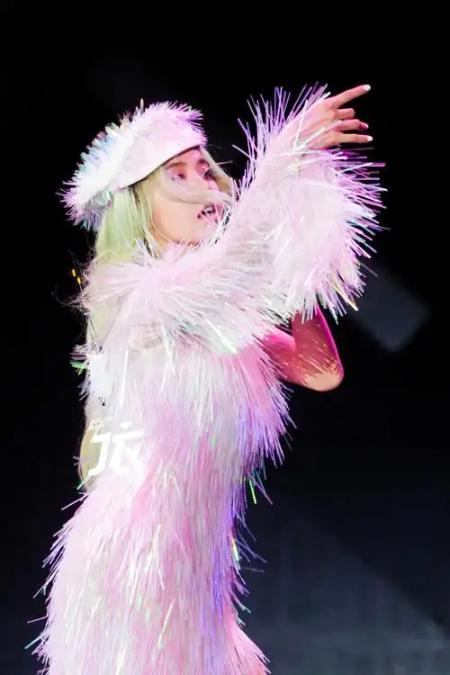 蔡依林uglybeauty演唱会