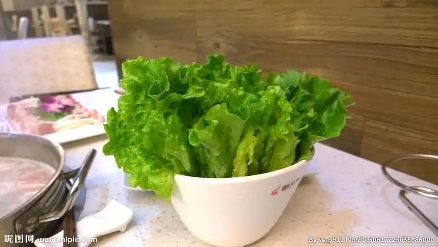 生菜春菜火锅配菜火锅图片