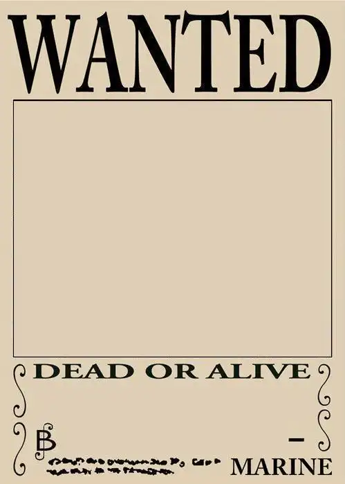 白底海贼王通缉令 求解