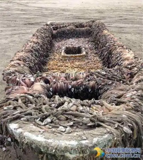 岸边飘来恐怖幽灵船 上面竟长满了奇怪的东西