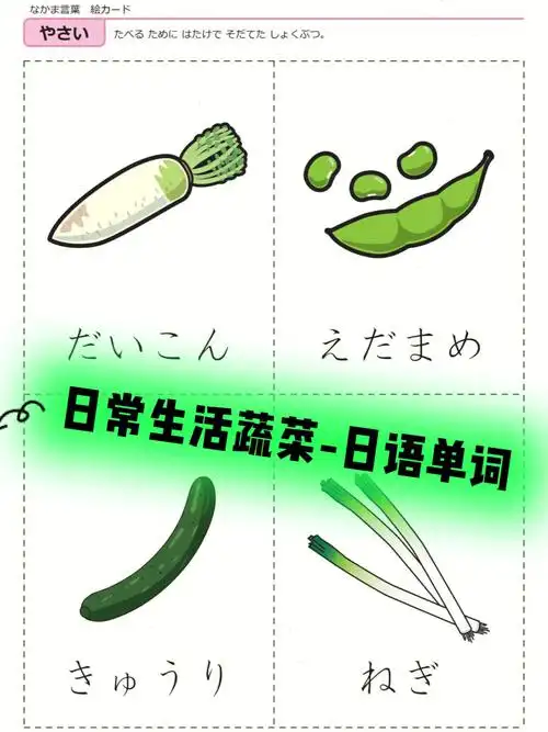 日常蔬菜单词