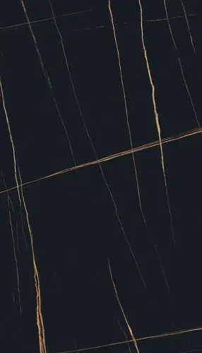 劳伦黑金_800x1400x12_产品目录_王者陶瓷 官方网站