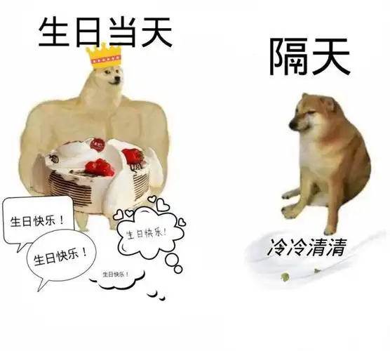 6.生日是什么?_?我从来没钱过过