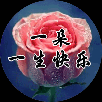 早上好亲爱的送你玫瑰花祝你快乐一整天