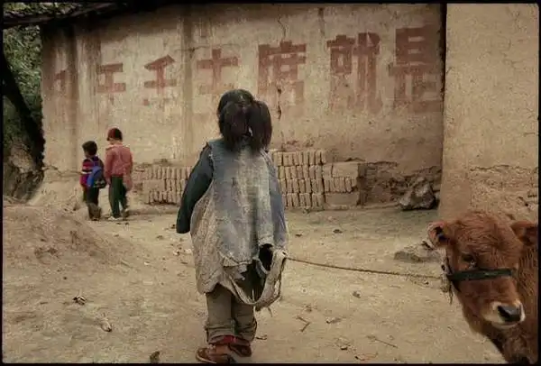 看哭无数人!重温中国最感人的照片精粹