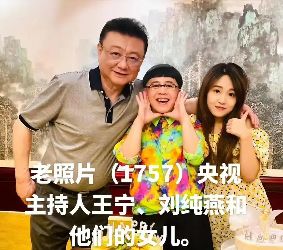 老照片(1757)央视 弥飘分发大 主持人王宁 - 抖音