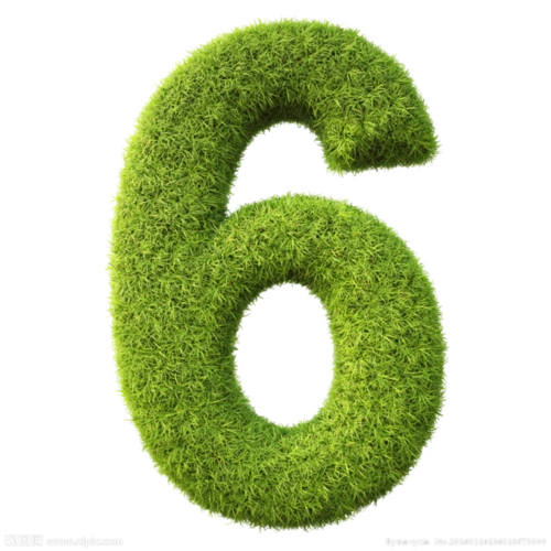 png植物数字素材草丛创意清新健康艺术字设计阿拉伯数字6