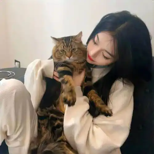 头像| 高级感十足的宝藏微信头像_都会_风口_盔甲