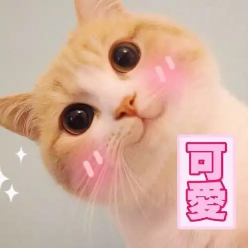 斗图表情包:那好吧