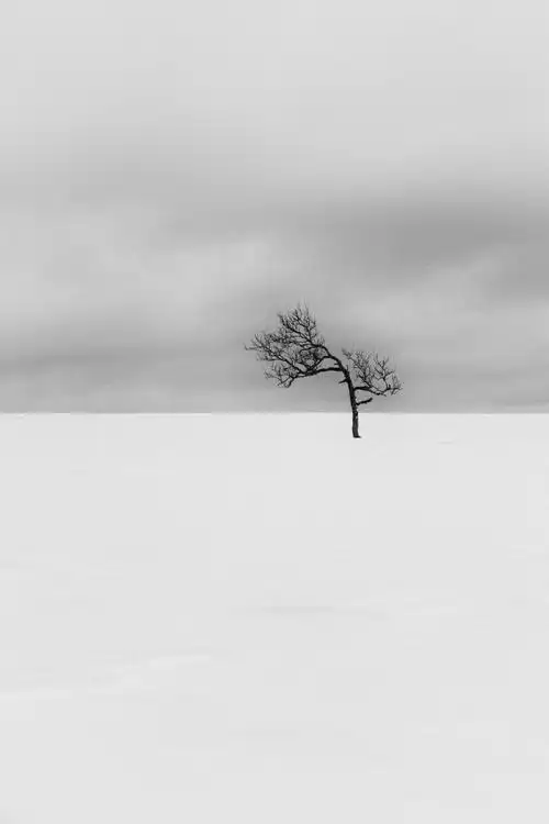 摄影师niilas nordenswan镜头里的黑白风景