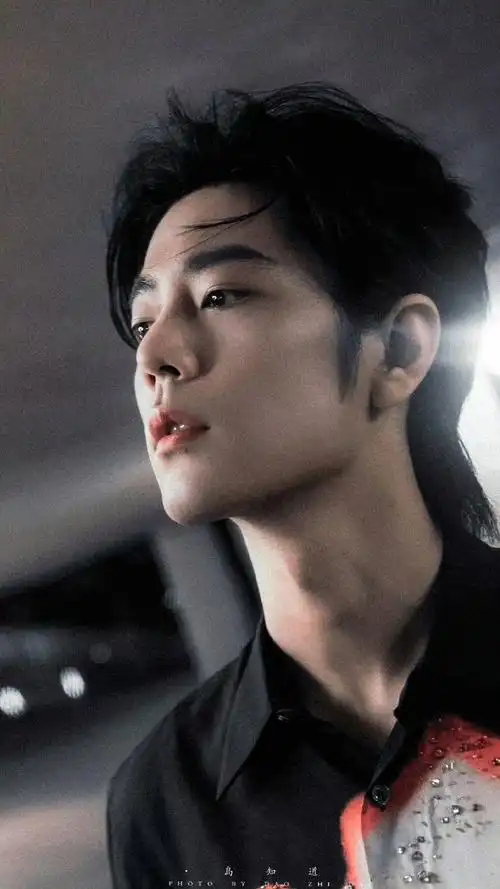 发型我都喜欢毛栗子,水冰月,大背头,覃头狼尾,卷毛长发……#肖战1005