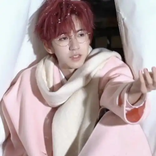 [贺峻霖]看过塞北纯白的雪,我便没有遗憾了.