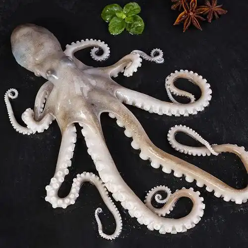 海鲜长腿八爪鱼爆头鲜活水产章鱼冷冻墨鱼