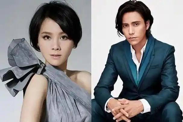 陈坤儿子生母何琳(陈坤儿子生母最新消息)