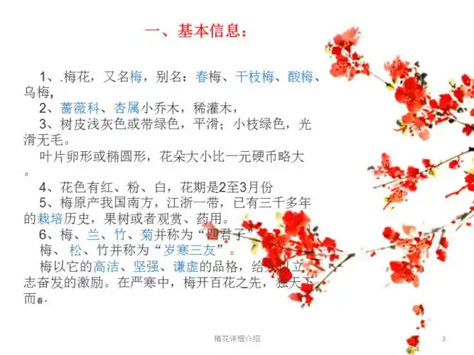 梅花详细介绍课件