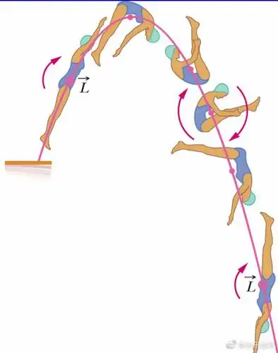 跳水运动员为啥总做这个姿势李永乐老师带你看懂跳水比赛
