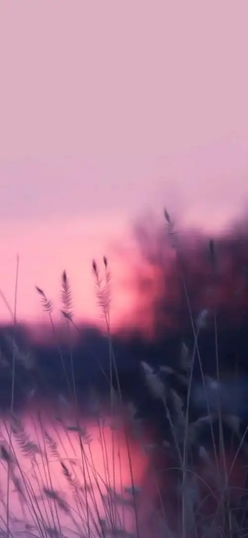 抖音最火最热门的壁纸 | 8个系列一定有你喜欢的!