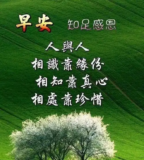 清晨最漂亮早安问候祝福图片,清晨最美暖心的问候祝福语