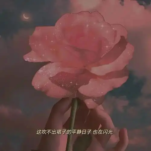 8月29日抖音热门背景图合集