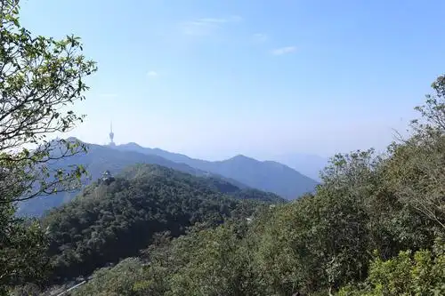 游深圳最高峰——梧桐山随拍