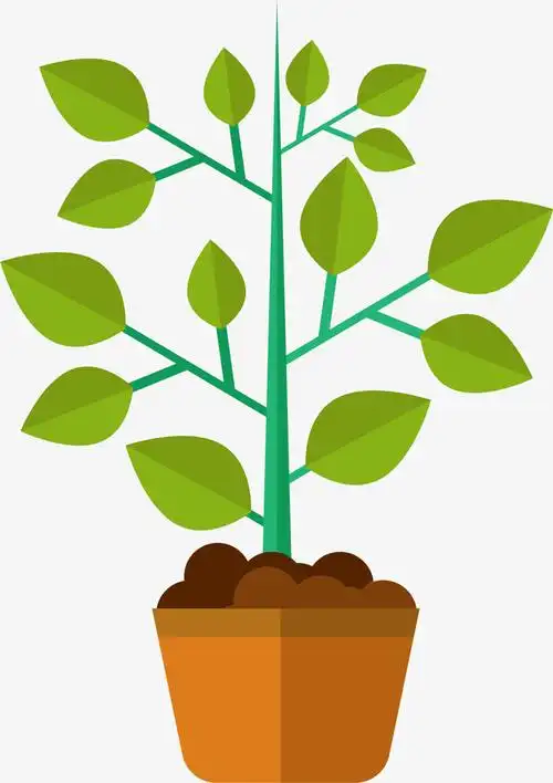 关键词 : 盆栽,春季,春天,春日,自然,植物,植树节,树苗