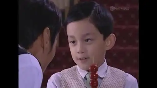 年纪不大却早已是"老戏骨",吴磊究竟参演过多少电视剧?