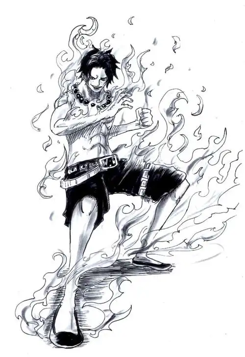 动漫 海贼王 onepiece 黑白 壁纸 艾斯大帅锅