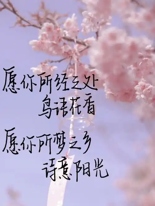 你逆光而来配的上世界上所以的好