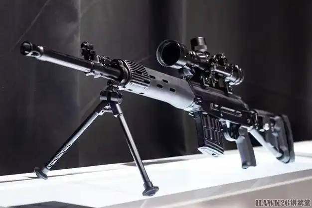 细看:俄罗斯svdm狙击步枪 德拉贡诺夫改进型 性能得到全面提升
