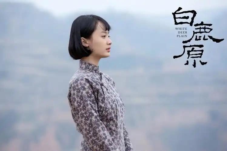 孙铱《白鹿原》剧照图片[10/10]_电视剧_美桌网