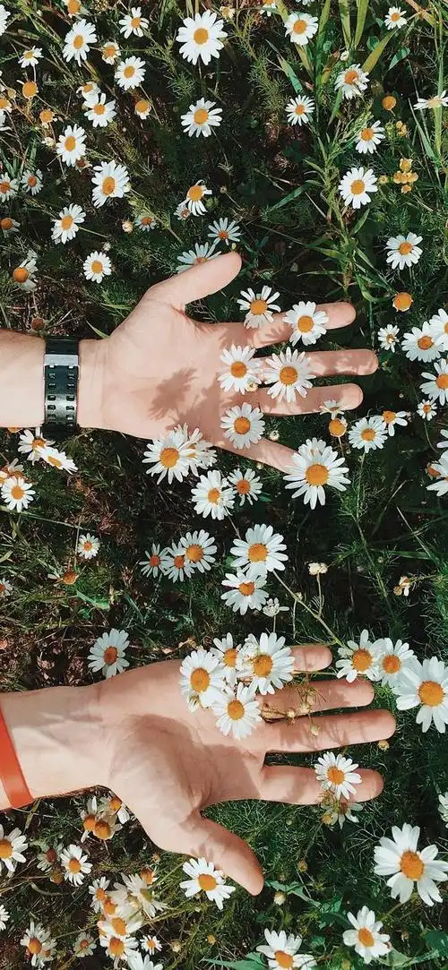 好看的高清壁纸,4k高级感