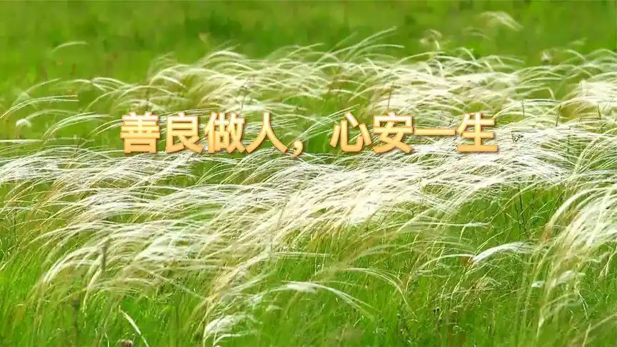 善良做人,心安一生