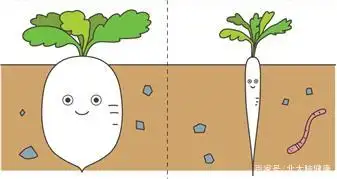 例如:在家吃饭时,对比孩子和家长筷子的长短,碗的大小;出门时,对