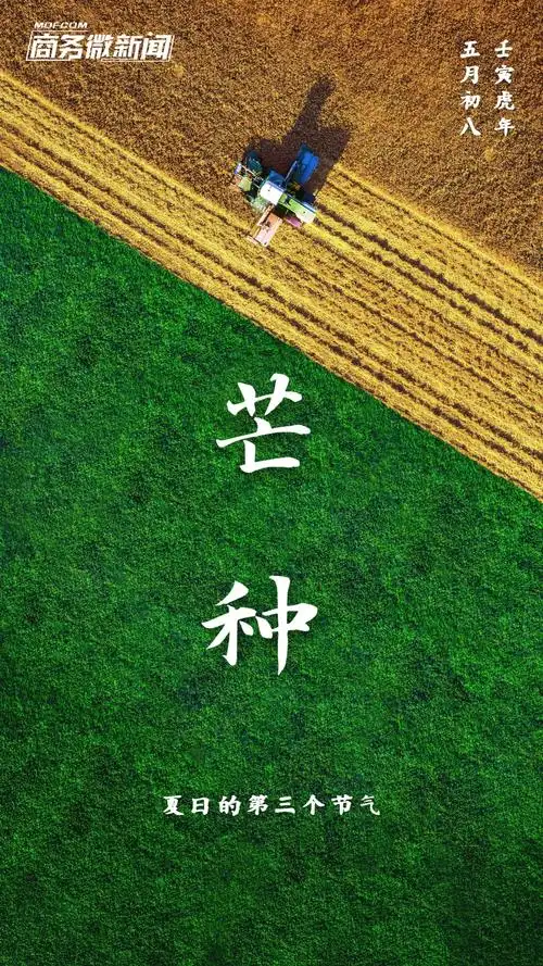 二十四节气 | 今日芒种