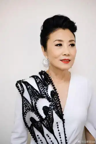 美人不迟暮!汪明荃 的图集