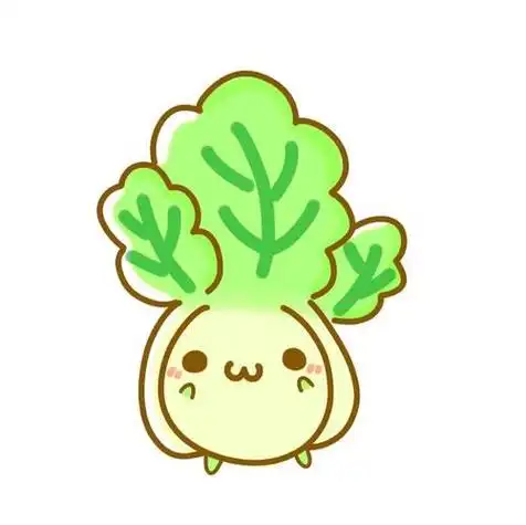 大白菜的简笔画 画白菜的简笔画