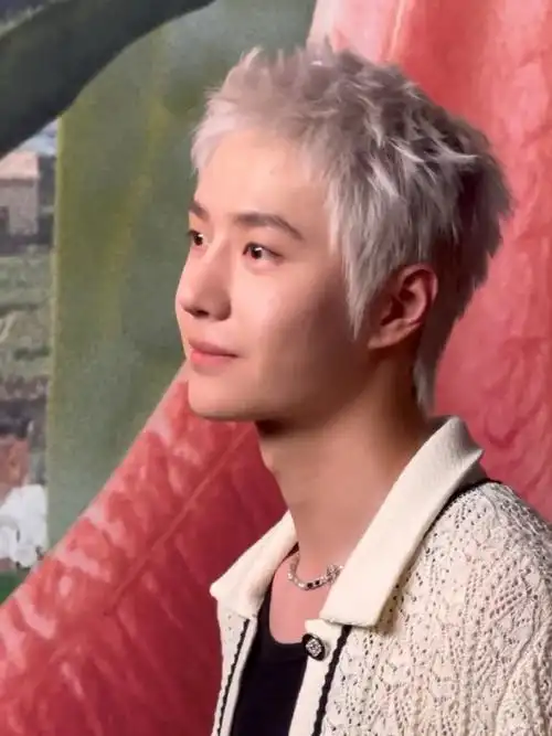 王一博白发真的太太太太太太太太太好看了像神话故事里走出来的少年